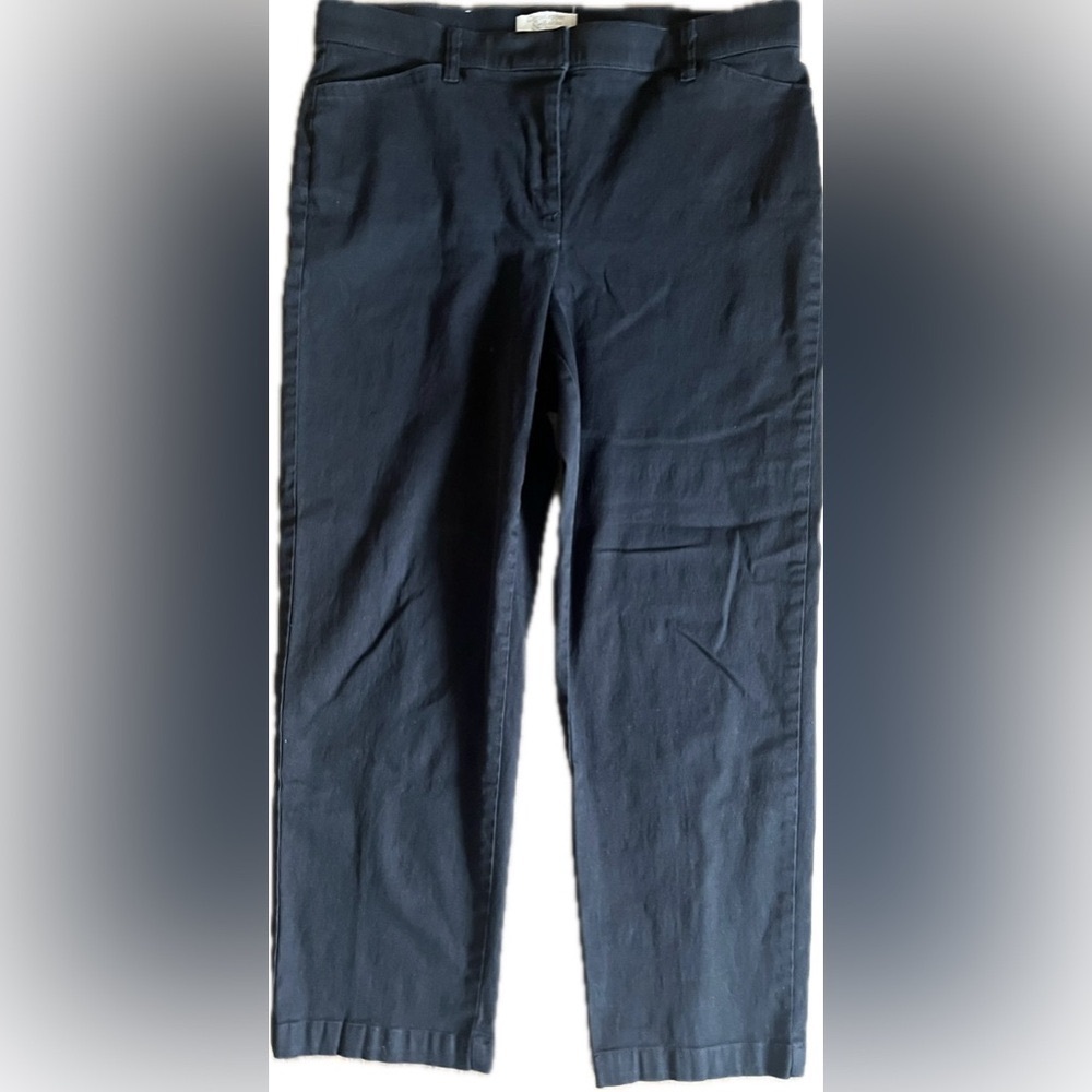 Christopher & Banks Black straight leg pants with stretch. Women’s Size 16P